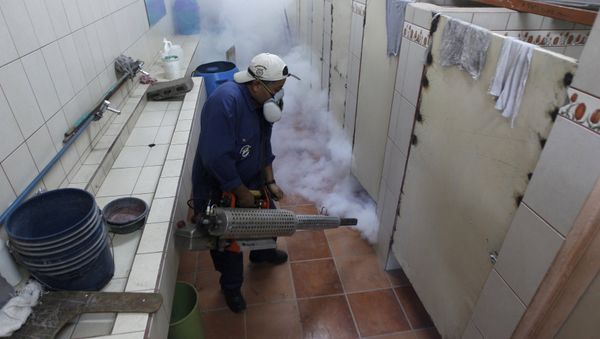 A municipal health worker fumigates the restroom of a school as part of the city's efforts to prevent the spread of the Zika virus vector, the Aedes aegypti mosquito, at the Nueva Suyapa neighbourhood in Tegucigalpa, Honduras, February 3, 2016 A municipal health worker fumigates the restroom of a school as part of the city's efforts to prevent the spread of the Zika virus vector, the Aedes aegypti mosquito, at the Nueva Suyapa neighbourhood in Tegucigalpa, Honduras, February 3, 2016 - Sputnik International