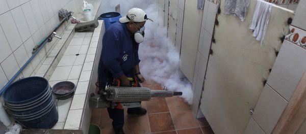 A municipal health worker fumigates the restroom of a school as part of the city's efforts to prevent the spread of the Zika virus vector, the Aedes aegypti mosquito, at the Nueva Suyapa neighbourhood in Tegucigalpa, Honduras, February 3, 2016 A municipal health worker fumigates the restroom of a school as part of the city's efforts to prevent the spread of the Zika virus vector, the Aedes aegypti mosquito, at the Nueva Suyapa neighbourhood in Tegucigalpa, Honduras, February 3, 2016 - Sputnik International
