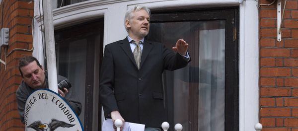 Julian Assange takes part in news conference via video link from Ecuadoran Embassy in London Julian Assange takes part in news conference via video link from Ecuadoran Embassy in London - Sputnik International