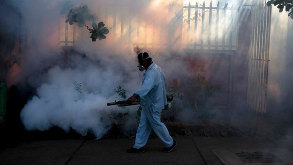 A health ministry worker fumigates a house to kill mosquitoes during a campaign against dengue and chikungunya and to prevent the entry of Zika virus in Managua, Nicaragua A health ministry worker fumigates a house to kill mosquitoes during a campaign against dengue and chikungunya and to prevent the entry of Zika virus in Managua, Nicaragua - Sputnik International