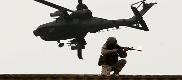 A member of the Emirati armed forces A member of the Emirati armed forces - Sputnik International