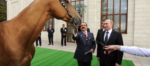 Russian President Vladimir Putin meets with King of Bahrain Hamad bin Isa Al Khalifa Russian President Vladimir Putin meets with King of Bahrain Hamad bin Isa Al Khalifa - Sputnik International