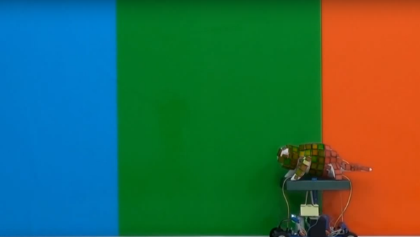 This robotic chameleon is capable of changing colors to match its environment. - Sputnik International