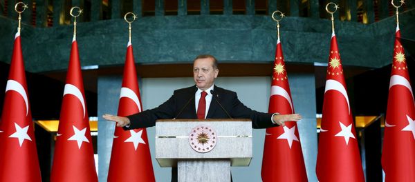 Turkey's President Tayyip Erdogan addresses the audience during a meeting in Ankara, January 12, 2016. Turkey's President Tayyip Erdogan addresses the audience during a meeting in Ankara, January 12, 2016. - Sputnik International