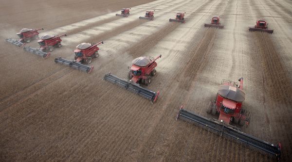Agricultural Sphere of BRICS Cooperation: Achievements of Russia and Brazil - Sputnik International