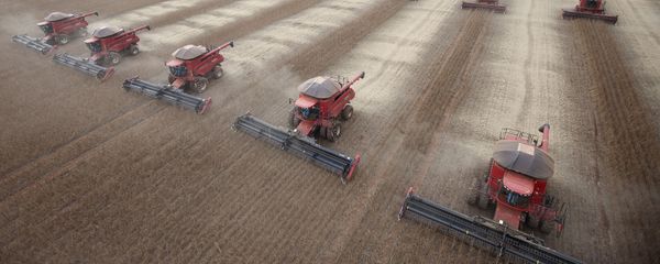Workers use combines to harvest soybeans in Tangara da Serra, State of Mato Grosso, Brazil - Sputnik International