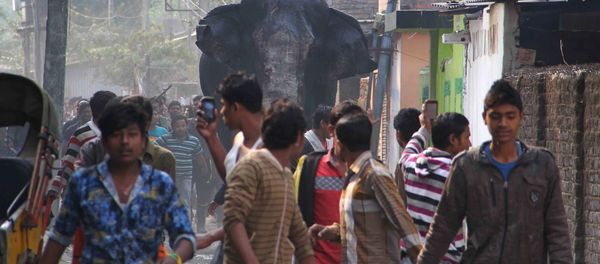 Massive Elephant Wreaks Havoc on Indian Town (PHOTOS, VIDEO) Massive Elephant Wreaks Havoc on Indian Town (PHOTOS, VIDEO) - Sputnik International