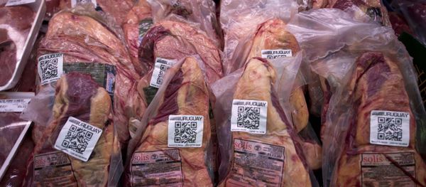 Uruguayan meat with QR code - Sputnik International