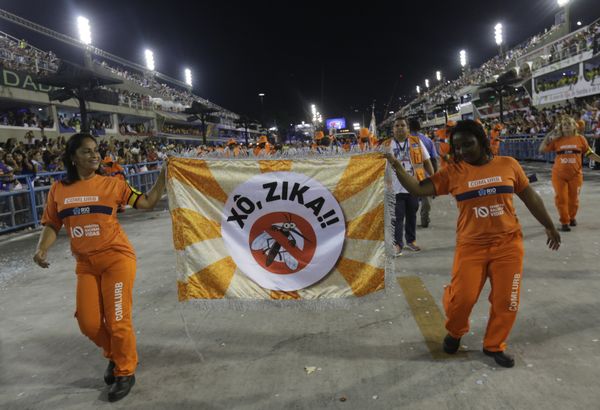 Workers holds a flag that reads in portugues Out Zika as part of a campaign to warn people about the spread of the Zika virus during carnival celebrations at the Sambadrome in Rio de Janeiro, Brazil, Monday, Feb. 8, 2016 Workers holds a flag that reads in portugues Out Zika as part of a campaign to warn people about the spread of the Zika virus during carnival celebrations at the Sambadrome in Rio de Janeiro, Brazil, Monday, Feb. 8, 2016 - Sputnik International