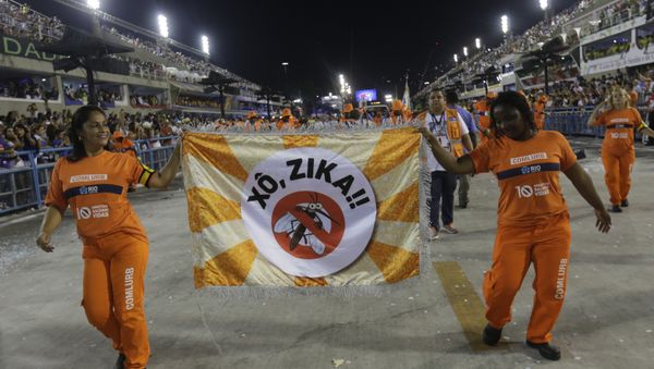Workers holds a flag that reads in portugues Out Zika as part of a campaign to warn people about the spread of the Zika virus during carnival celebrations at the Sambadrome in Rio de Janeiro, Brazil, Monday, Feb. 8, 2016 Workers holds a flag that reads in portugues Out Zika as part of a campaign to warn people about the spread of the Zika virus during carnival celebrations at the Sambadrome in Rio de Janeiro, Brazil, Monday, Feb. 8, 2016 - Sputnik International