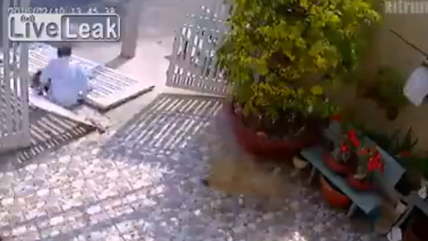 Would Be Thief Drops the Front Gate on his Leg Breaking his Ankle ! - Sputnik International