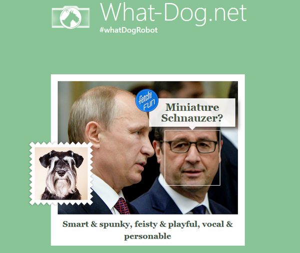 Francois Hollande at the what-dog.net Francois Hollande at the what-dog.net - Sputnik International
