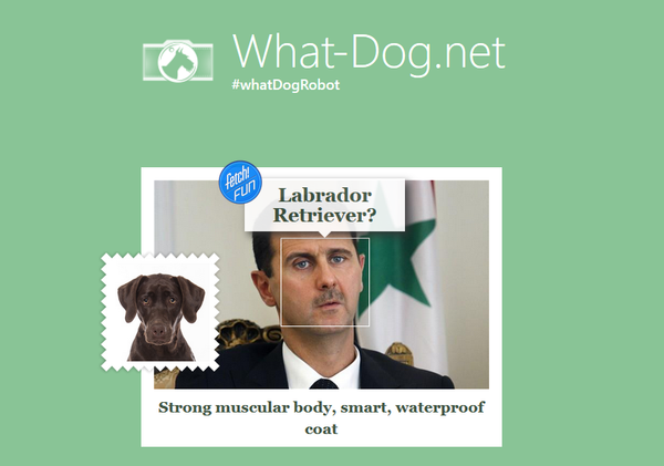 Bashar Assad at the what-dog.net Bashar Assad at the what-dog.net - Sputnik International