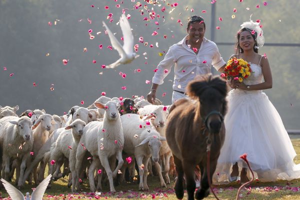 Feel the Vibrant Spirit of Valentine’s Day Embracing the World Feel the Vibrant Spirit of Valentine’s Day Embracing the World - Sputnik International