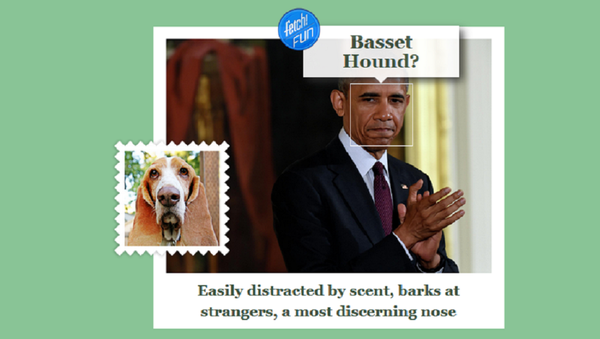 Barack Obama at the what-dog.net Barack Obama at the what-dog.net - Sputnik International