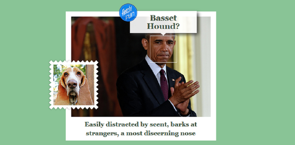 Barack Obama at the what-dog.net Barack Obama at the what-dog.net - Sputnik International