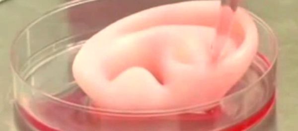 Artificially grown human body Artificially grown human body - Sputnik International