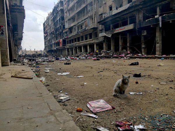 A street in the Old Town of Aleppo. A street in the Old Town of Aleppo. - Sputnik International