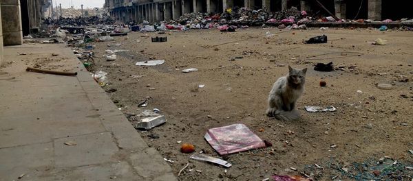 A street in the Old Town of Aleppo. A street in the Old Town of Aleppo. - Sputnik International