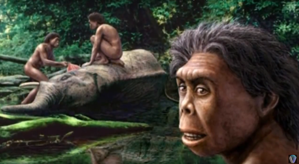 Homo Floresiensis Homo Floresiensis - Sputnik International