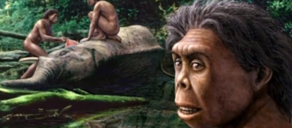 Homo Floresiensis Homo Floresiensis - Sputnik International