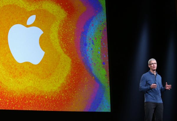 Apple CEO Tim Cook Apple CEO Tim Cook - Sputnik International