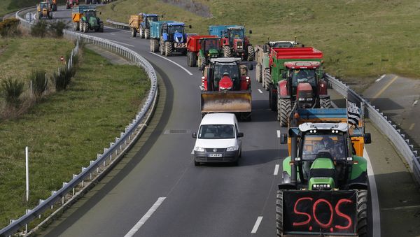 French livestock farmers arrive by tractor in Rennes, France, to protest falling prices February 17, 2016 French livestock farmers arrive by tractor in Rennes, France, to protest falling prices February 17, 2016 - Sputnik International