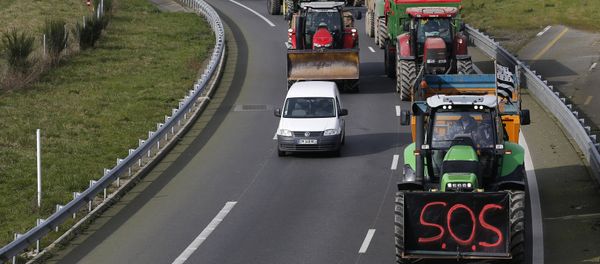 French livestock farmers arrive by tractor in Rennes, France, to protest falling prices February 17, 2016 - Sputnik International