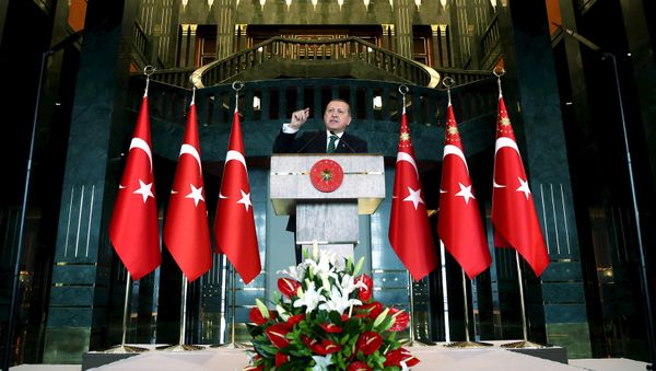 Turkish President Tayyip Erdogan makes a speech during a meeting in Ankara, Turkey February 17, 2016, in this handout photo provided by the Presidential Palace Turkish President Tayyip Erdogan makes a speech during a meeting in Ankara, Turkey February 17, 2016, in this handout photo provided by the Presidential Palace - Sputnik International