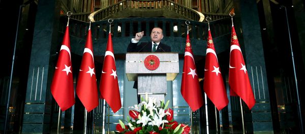Turkish President Tayyip Erdogan makes a speech during a meeting in Ankara, Turkey February 17, 2016, in this handout photo provided by the Presidential Palace - Sputnik International