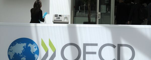 A participant stands at the OECD headquarters in Paris during the presentation of the Economic Outlook at the 2013 OECD Week on May 29, 2013 - Sputnik International