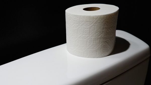 Toilet paper - Sputnik International