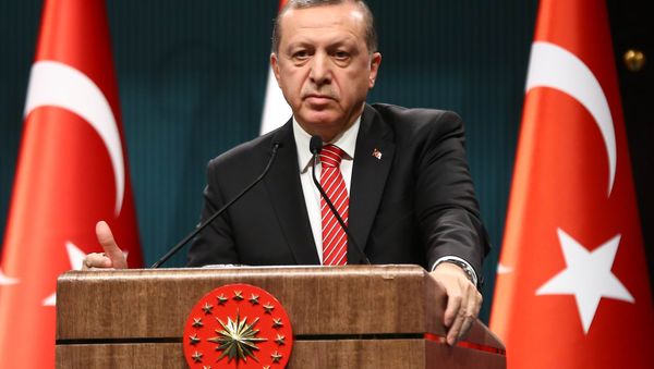 Turkish President Recep Tayyip Erdogan addresses a joint press conference with Yemen's president at the presidential complex in Ankara on February 16, 2016. Turkish President Recep Tayyip Erdogan addresses a joint press conference with Yemen's president at the presidential complex in Ankara on February 16, 2016. - Sputnik International