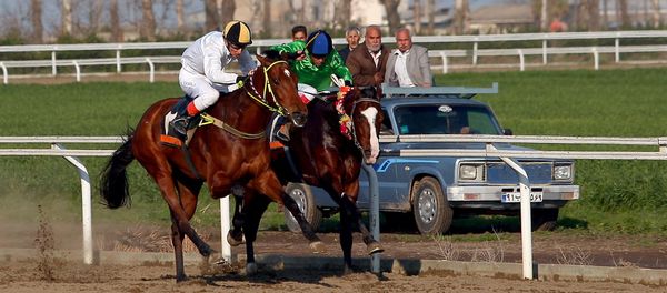 Horse Racing Season Off to a Start in Iran Horse Racing Season Off to a Start in Iran - Sputnik International