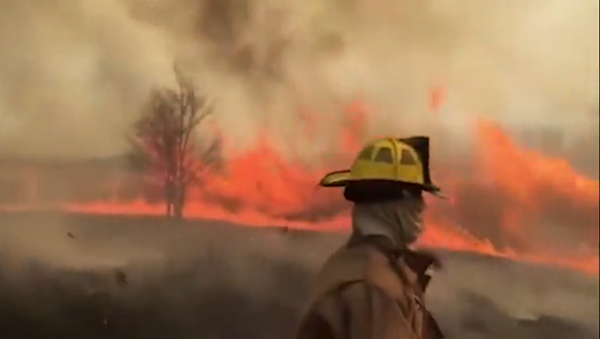 VIDEO: Firefighters battle a ‘firenado’ in Missouri - Sputnik International