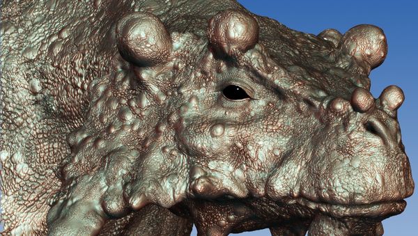 Pareiasaurs - Sputnik International