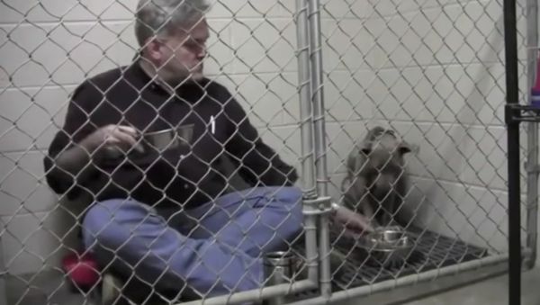 The adorable moment veterinarian comforts a scared, abandoned dog by sitting in its cage and eating - Sputnik International