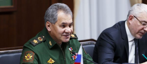 Russian Defense Minister Sergei Shoigu and Iranian Defense Minister Hossein Dehghan meet in Moscow Russian Defense Minister Sergei Shoigu and Iranian Defense Minister Hossein Dehghan meet in Moscow - Sputnik International