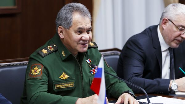 Russian Defense Minister Sergei Shoigu and Iranian Defense Minister Hossein Dehghan meet in Moscow - Sputnik International