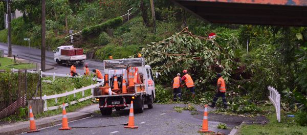 City workers clear fallen trees from a road in Fiji's capital Suva after Cyclone Winston swept across Viti Levu Island, February 21, 2016. - Sputnik International
