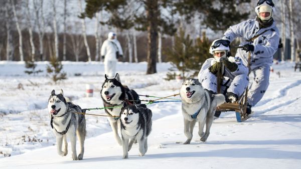 Far Eastern Command College in Amur region Far Eastern Command College in Amur region - Sputnik International
