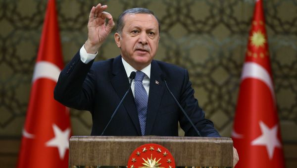Turkey's President, Recep Tayyip Erdogan, addresses local administrators at his palace in Ankara, Turkey, Wednesday, Feb. 24, 2016 Turkey's President, Recep Tayyip Erdogan, addresses local administrators at his palace in Ankara, Turkey, Wednesday, Feb. 24, 2016 - Sputnik International