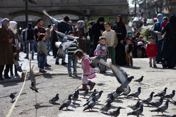 A Syrian girl chases pigeons in Marjeh Square, in Damascus, Syria, Saturday, Feb. 27, 2016 A Syrian girl chases pigeons in Marjeh Square, in Damascus, Syria, Saturday, Feb. 27, 2016 - Sputnik International