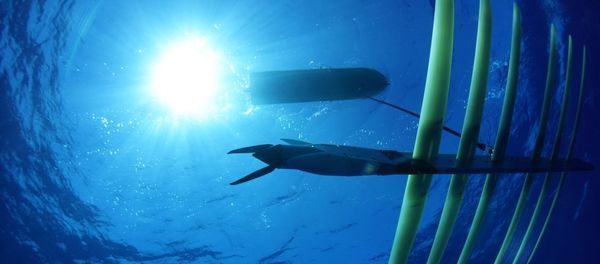 A Wave Glider SV3 with its hybrid propulsion system. A Wave Glider SV3 with its hybrid propulsion system. - Sputnik International