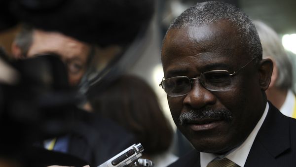 Head of the International Fund for Agriculture Development (IFAD) Kanayo F. Nwanze - Sputnik International