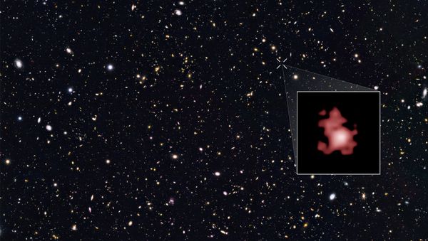 The location of galaxy GN-z11, which is the farthest galaxy ever seen.  - Sputnik International