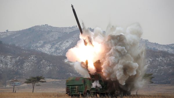 A new multiple launch rocket system is test fired in this undated photo released by North Korea's Korean Central News Agency (KCNA) in Pyongyang March 4, 2016 A new multiple launch rocket system is test fired in this undated photo released by North Korea's Korean Central News Agency (KCNA) in Pyongyang March 4, 2016 - Sputnik International