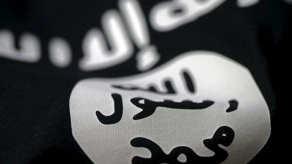 Islamic State flag is seen in this picture illustration taken February 18, 2016 Islamic State flag is seen in this picture illustration taken February 18, 2016 - Sputnik International