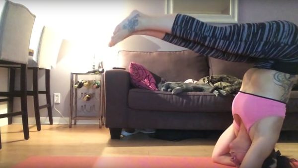 Yoga fail cats face plant - Sputnik International