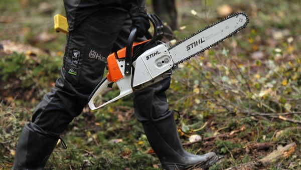 Chainsaw - Sputnik International